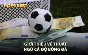 Giới Thiệu Về Thuật Ngữ Cá Độ Bóng Đá