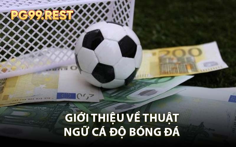 Giới Thiệu Về Thuật Ngữ Cá Độ Bóng Đá