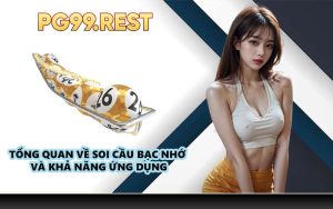 Tổng quan về soi cầu bạc nhớ và khả năng ứng dụng